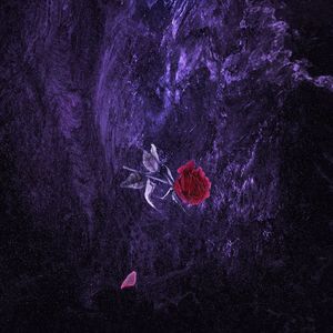 女人大奶奶女人男人女人男人女人的大逼
